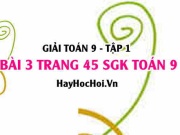 Giải bài 3 trang 45 SGK Toán 9 tập 1